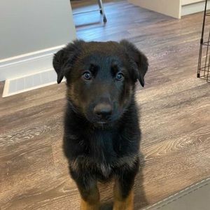 Meet your Posher, Ali